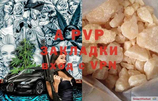 сатива Богданович