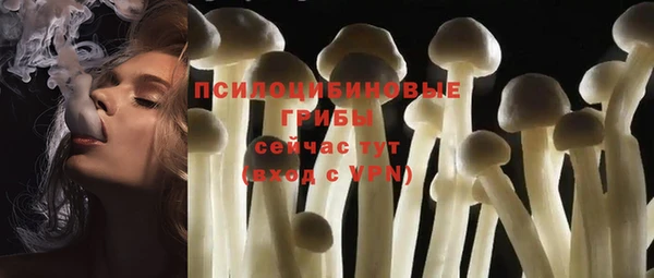ALPHA PVP Богородск