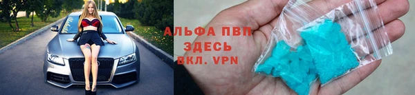 сатива Богданович
