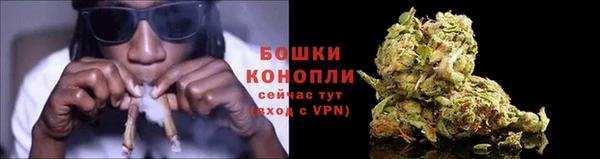 сатива Богданович