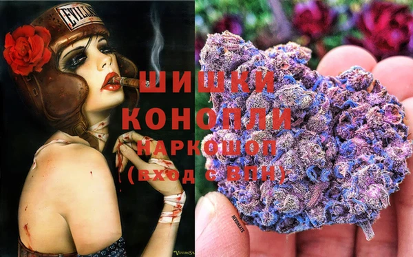 сатива Богданович