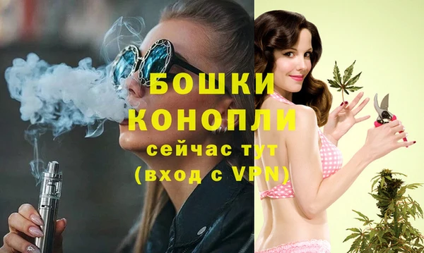 соль ск Нижний Тагил