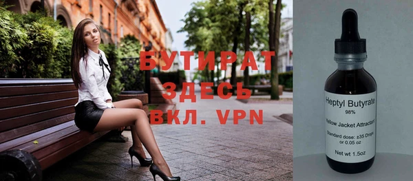 индика Чита