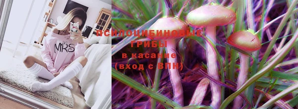 сатива Богданович