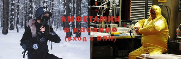 сатива Богданович